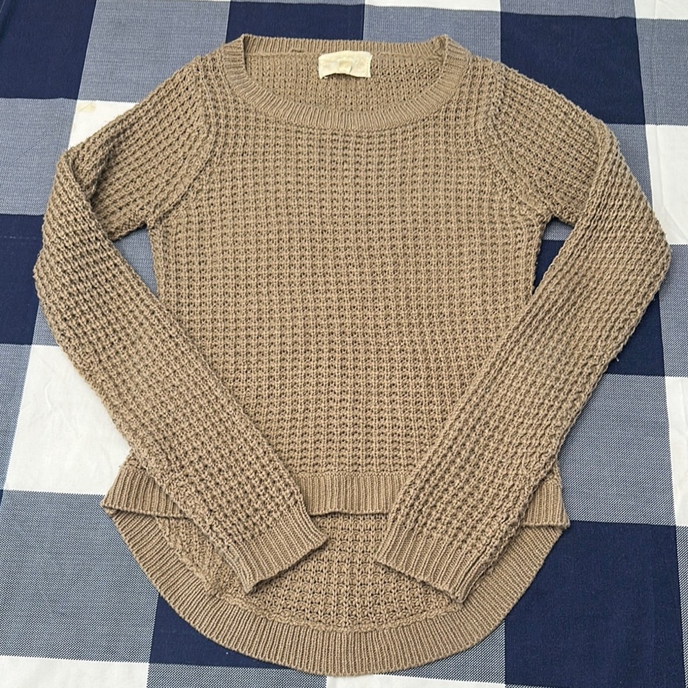 Ambiance Women's Beige Knit Sweater